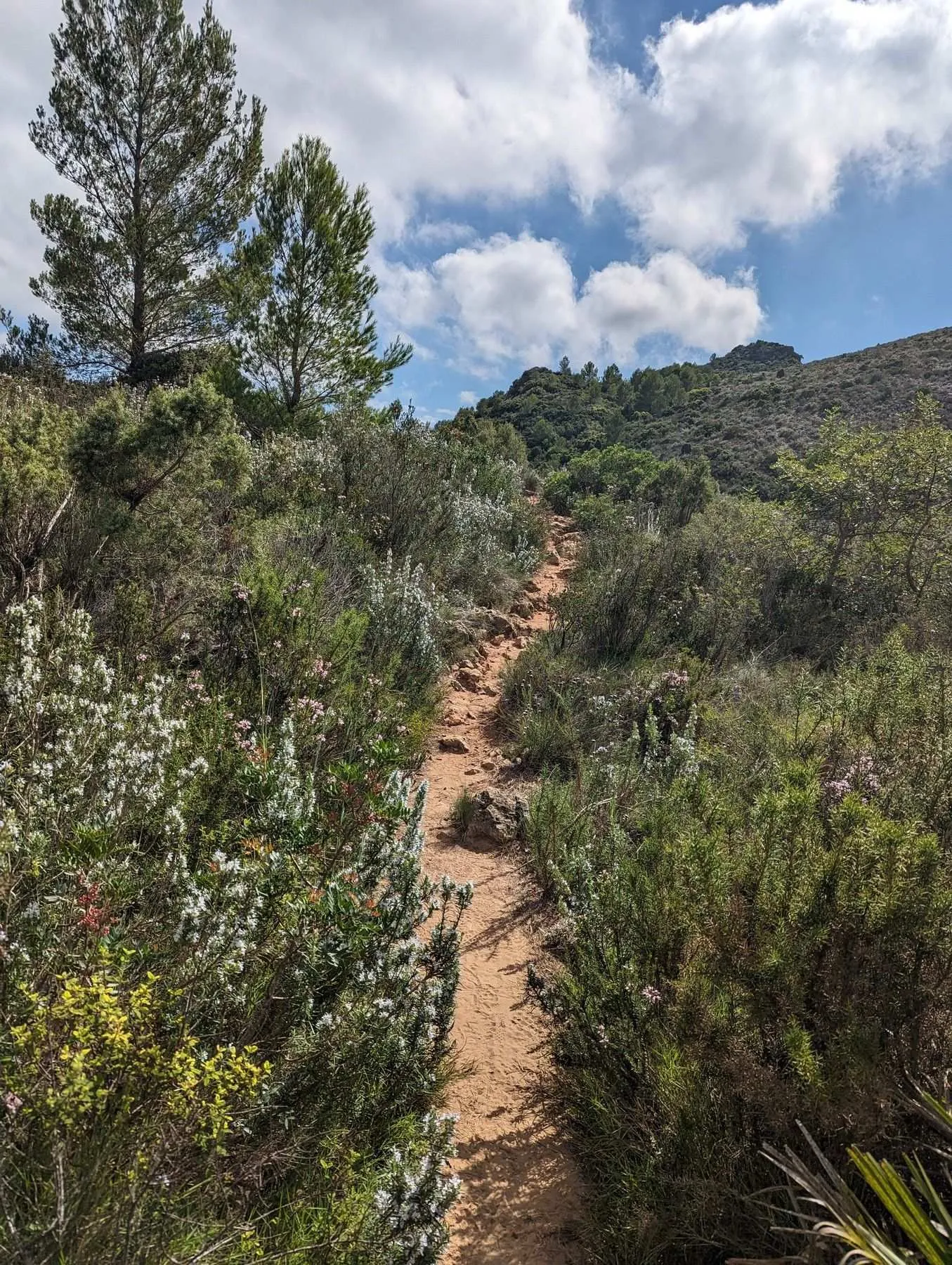 Local hiking Marxuquera